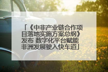 《中非产业链合作项目落地实施方案总纲》发布 数字化平台赋能非洲发展驶入快车道
