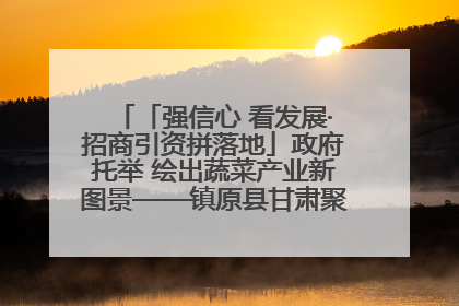 「强信心 看发展·招商引资拼落地」政府托举 绘出蔬菜产业新图景——镇原县甘肃聚广利现代设施蔬菜种植基地见闻
