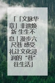 「文脉华章」非遗焕新 生生不息｜漫步六尺巷 感受礼让文化浸润的“巷”往生活