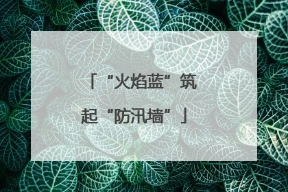 “火焰蓝”筑起“防汛墙”