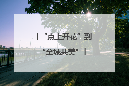“点上开花”到“全域共美”