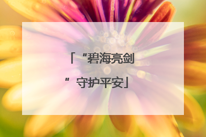 “碧海亮剑”守护平安