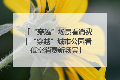 “穿越”场景看消费｜“穿越”城市公园看低空消费新场景