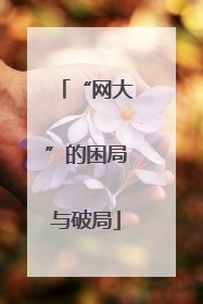 “网大”的困局与破局