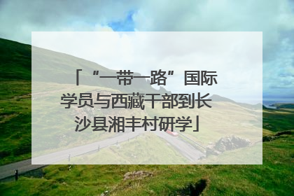 “一带一路”国际学员与西藏干部到长沙县湘丰村研学