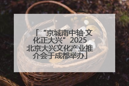“京城南中轴·文化正大兴”2025北京大兴文化产业推介会于成都举办