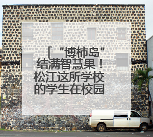 “博柿岛”结满智慧果！松江这所学校的学生在校园里探险