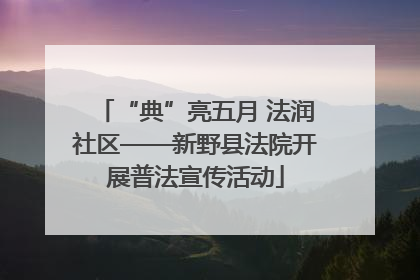 “典”亮五月 法润社区——新野县法院开展普法宣传活动