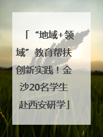 “地域+领域”教育帮扶创新实践！金沙20名学生赴西安研学