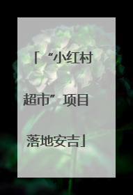 “小红村超市”项目落地安吉