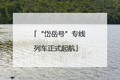 “岱岳号”专线列车正式起航
