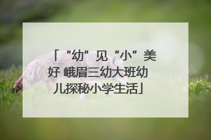 “幼”见“小”美好 峨眉三幼大班幼儿探秘小学生活