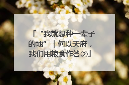 “我就想种一辈子的地”｜何以天府，我们用粮食作答②