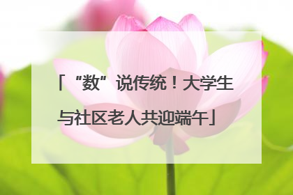 “数”说传统！大学生与社区老人共迎端午