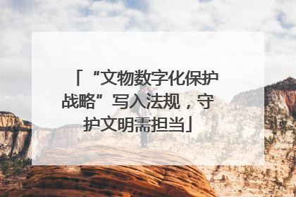 “文物数字化保护战略”写入法规，守护文明需担当