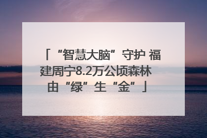 “智慧大脑”守护 福建周宁8.2万公顷森林由“绿”生“金”