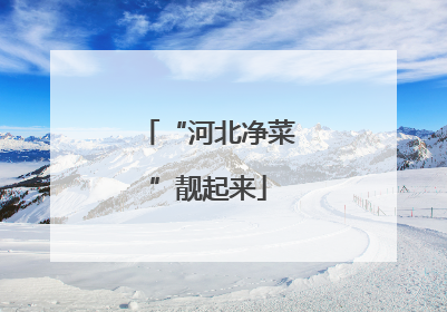 “河北净菜”靓起来