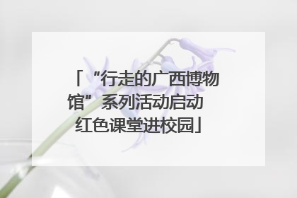 “行走的广西博物馆”系列活动启动 红色课堂进校园