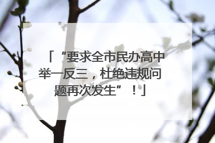 “要求全市民办高中举一反三，杜绝违规问题再次发生”！