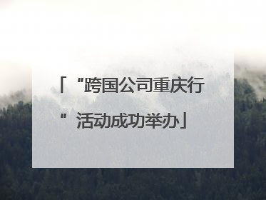 “跨国公司重庆行”活动成功举办