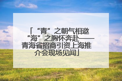 “青”之朝气相邀 “海”之胸怀奔赴——青海省招商引资上海推介会现场见闻