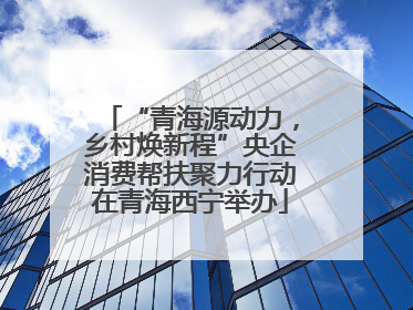 “青海源动力，乡村焕新程”央企消费帮扶聚力行动在青海西宁举办