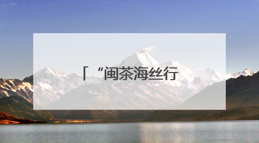 “闽茶海丝行”香满土耳其