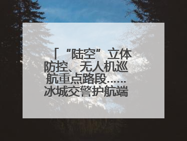 “陆空”立体防控、无人机巡航重点路段……冰城交警护航端午假期出行