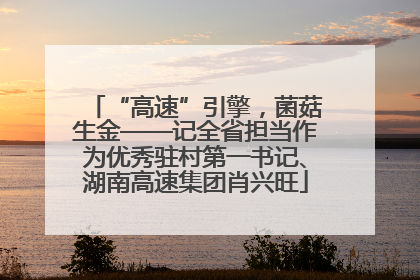 “高速”引擎，菌菇生金——记全省担当作为优秀驻村第一书记、湖南高速集团肖兴旺