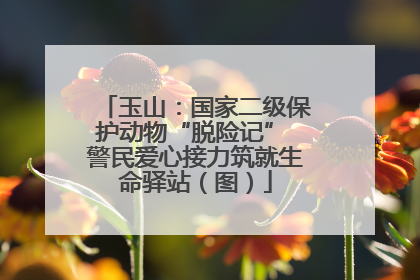 玉山：国家二级保护动物“脱险记” 警民爱心接力筑就生命驿站（图）
