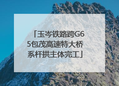 玉岑铁路跨G65包茂高速特大桥系杆拱主体完工