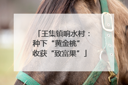 王集镇响水村：种下“黄金桃” 收获“致富果”