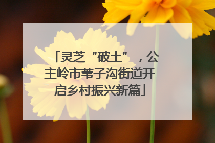 灵芝“破土”，公主岭市苇子沟街道开启乡村振兴新篇
