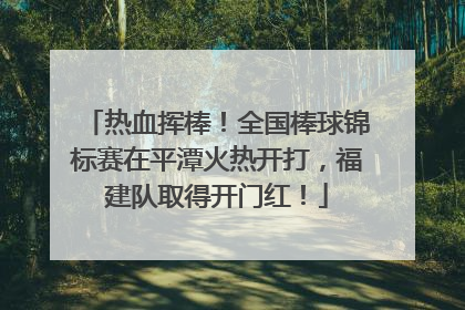 热血挥棒！全国棒球锦标赛在平潭火热开打，福建队取得开门红！