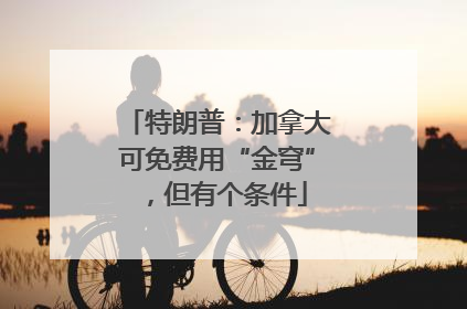 特朗普：加拿大可免费用“金穹”，但有个条件
