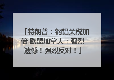 特朗普：钢铝关税加倍 欧盟加拿大：强烈遗憾！强烈反对！