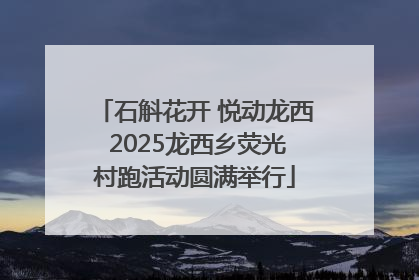 石斛花开 悦动龙西 2025龙西乡荧光村跑活动圆满举行