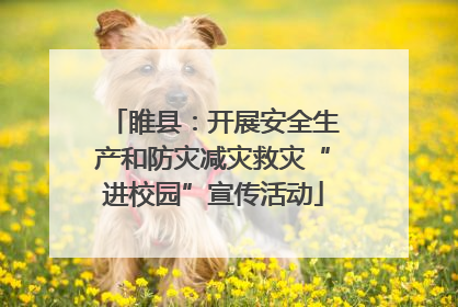 睢县：开展安全生产和防灾减灾救灾“进校园”宣传活动