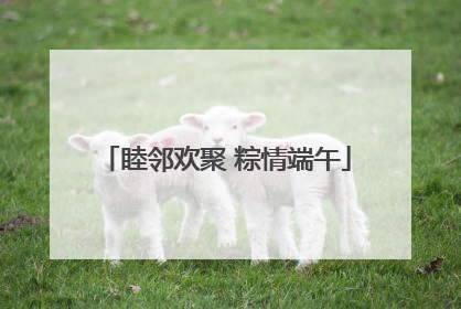睦邻欢聚 粽情端午