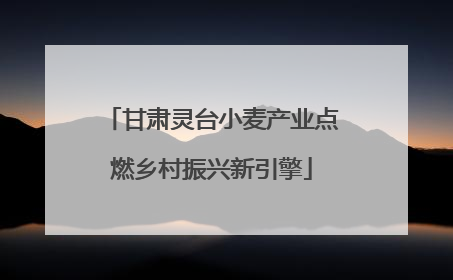 甘肃灵台小麦产业点燃乡村振兴新引擎