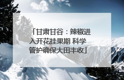 甘肃甘谷：辣椒进入开花挂果期 科学管护确保大田丰收