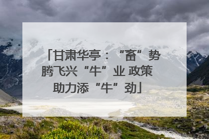 甘肃华亭：“畜”势腾飞兴“牛”业 政策助力添“牛”劲