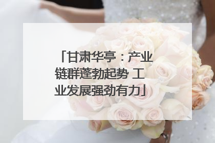 甘肃华亭：产业链群蓬勃起势 工业发展强劲有力