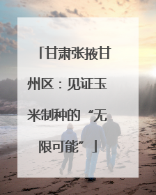 甘肃张掖甘州区：见证玉米制种的“无限可能”