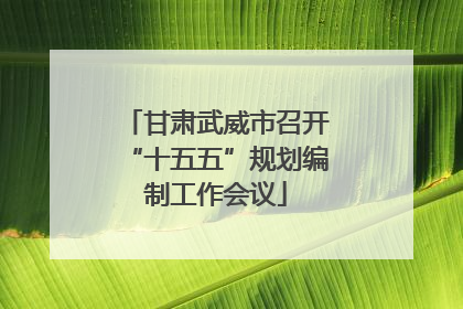 甘肃武威市召开“十五五”规划编制工作会议