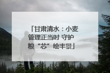 甘肃清水：小麦管理正当时 守护粮“芯”绘丰景