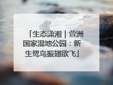 生态潇湘｜萱洲国家湿地公园：新生鹭鸟振翅欲飞