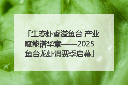 生态虾香溢鱼台 产业赋能谱华章——2025鱼台龙虾消费季启幕