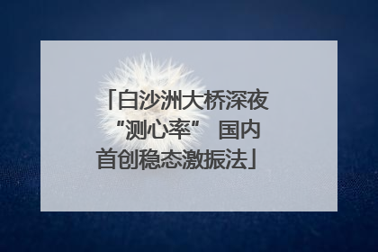 白沙洲大桥深夜“测心率” 国内首创稳态激振法