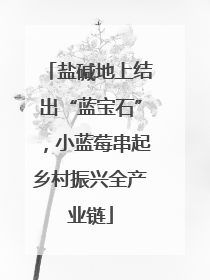 盐碱地上结出“蓝宝石”，小蓝莓串起乡村振兴全产业链